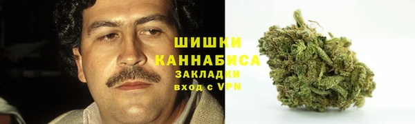 амф Балахна