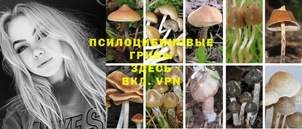 молекула духа Балабаново