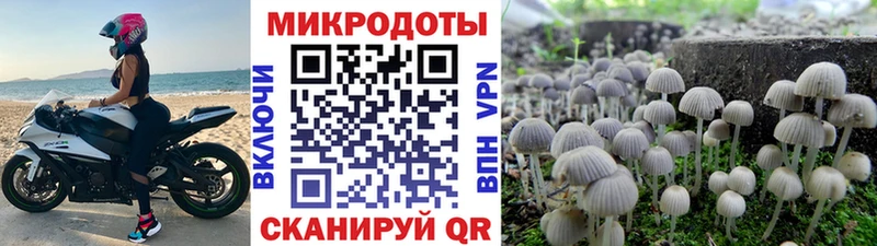 Псилоцибиновые грибы прущие грибы  Ладушкин 